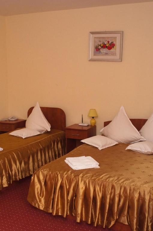Hotel Delaf Cluj-Napoca Buitenkant foto