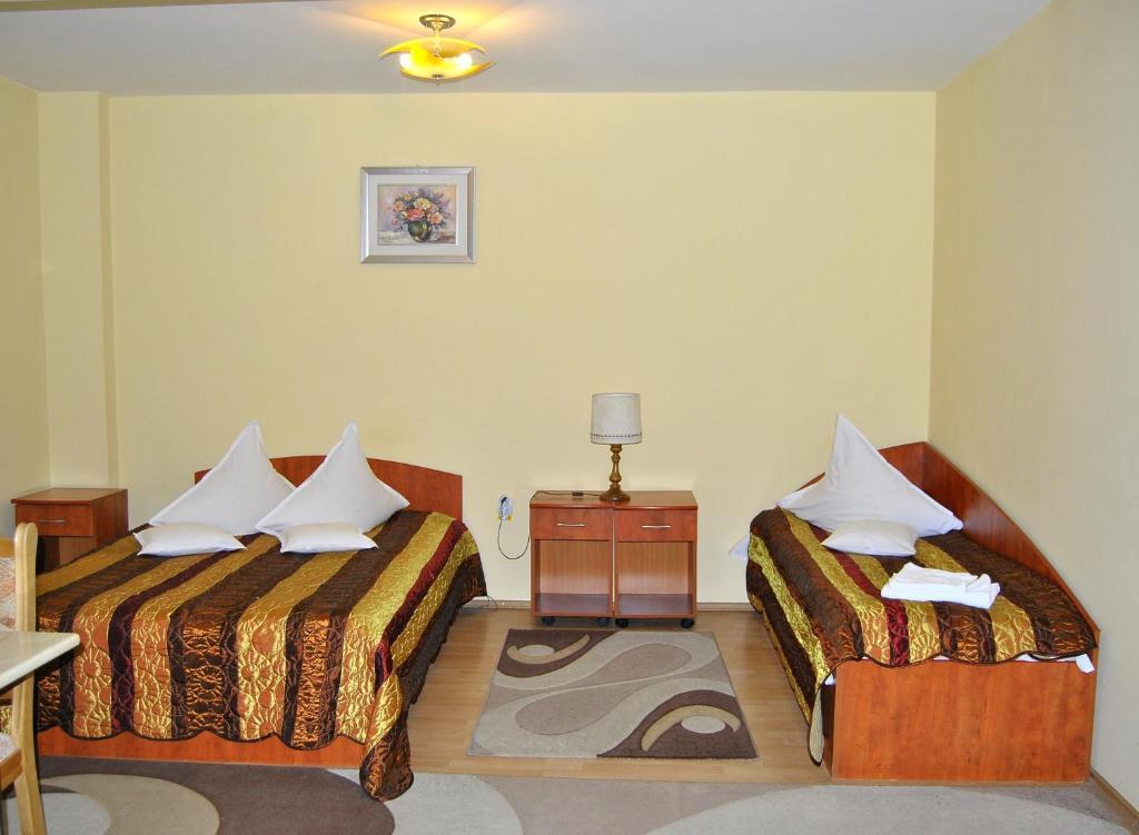 Hotel Delaf Cluj-Napoca Buitenkant foto